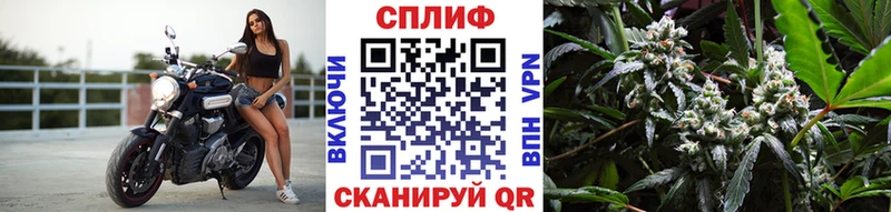 Бошки марихуана марихуана  Дигора 